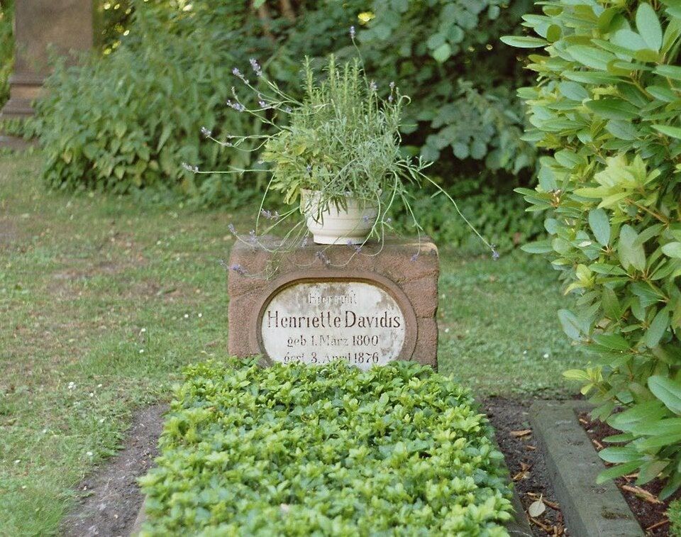Grabstätte von Johanna Friederika Henriette Katharina Davidis